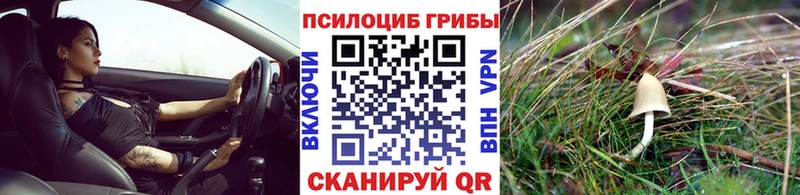 Галлюциногенные грибы мухоморы кракен Йошкар-Ола